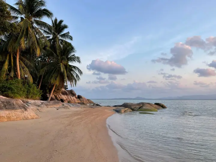 Plaża z palmami o zmierzchu