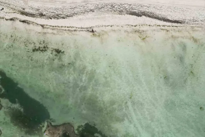 Bohol: Panglao
