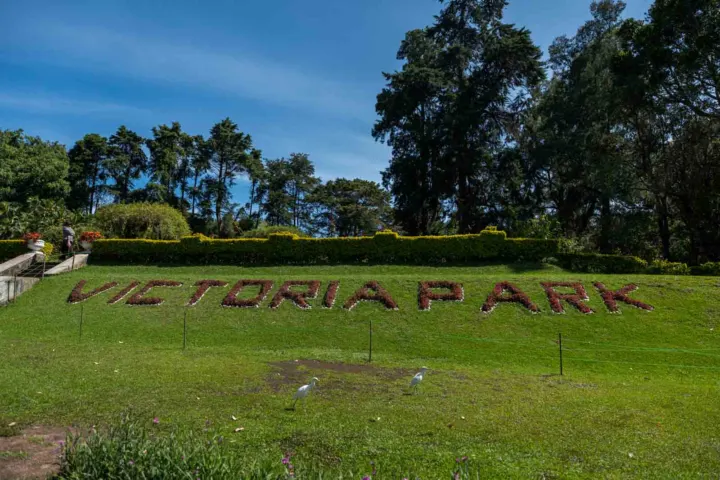 Nuwara Eliya