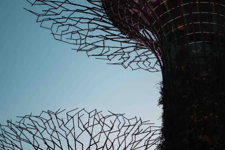 Gardens by the Bay