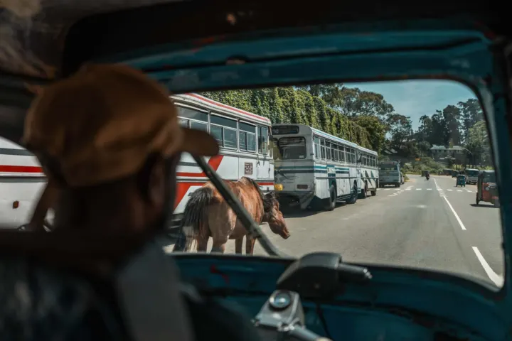 Nuwara Eliya
