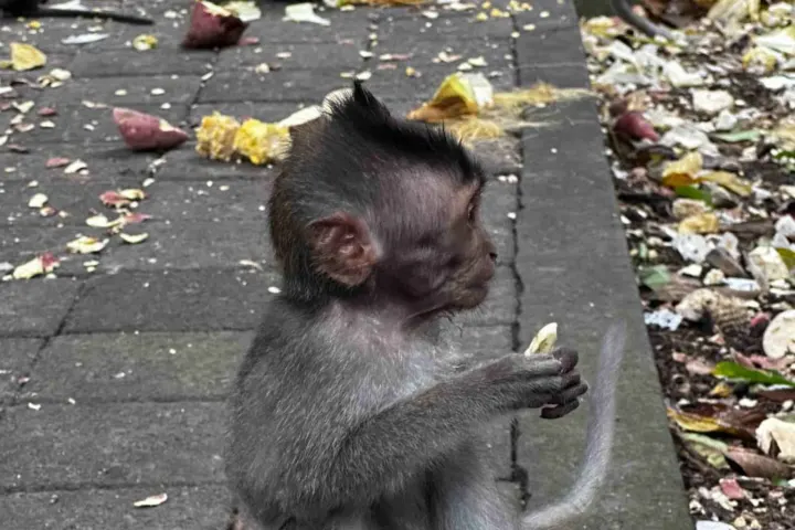Ubud