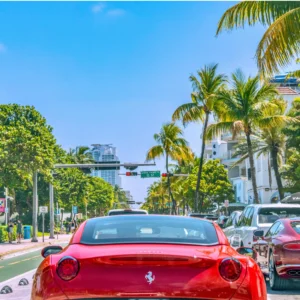 Miami Vibes