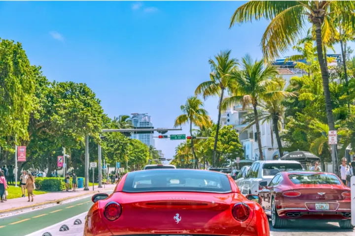 Miami Vibes