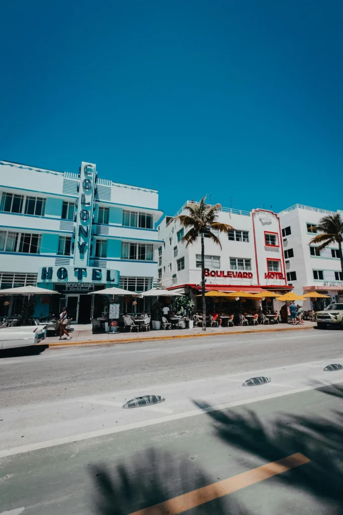 Miami Vibes