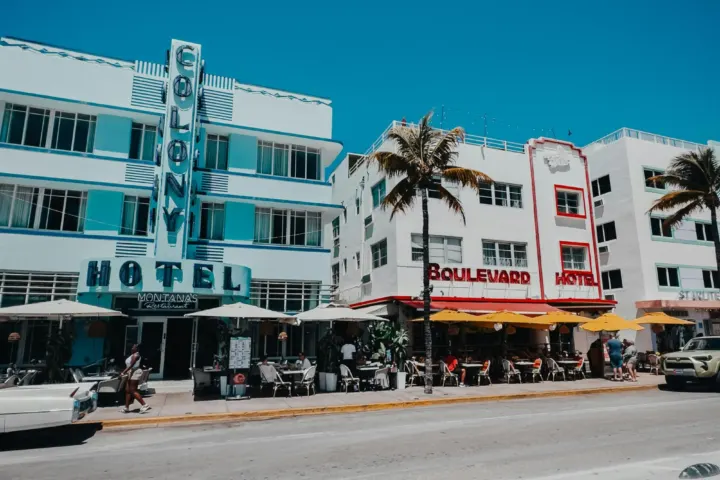 Miami Vibes