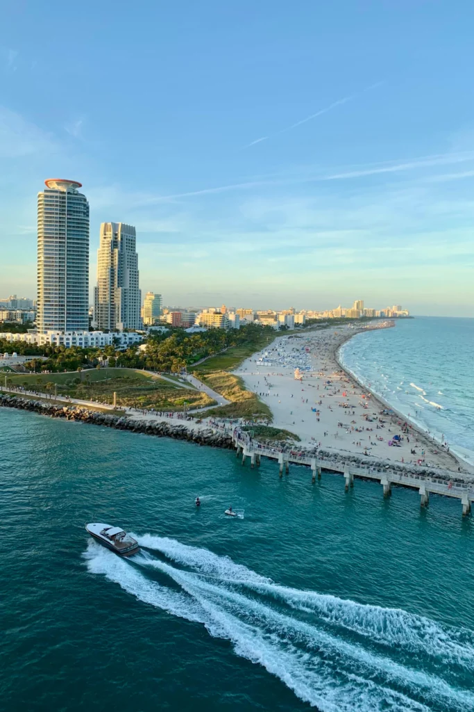 Miami Vibes