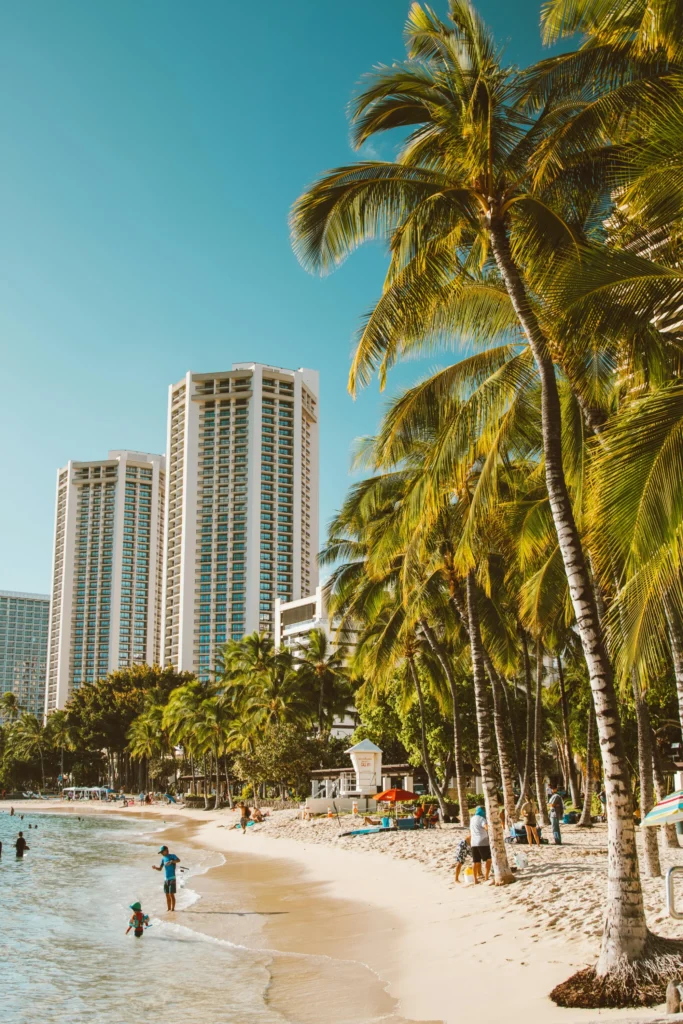 Miami Vibes