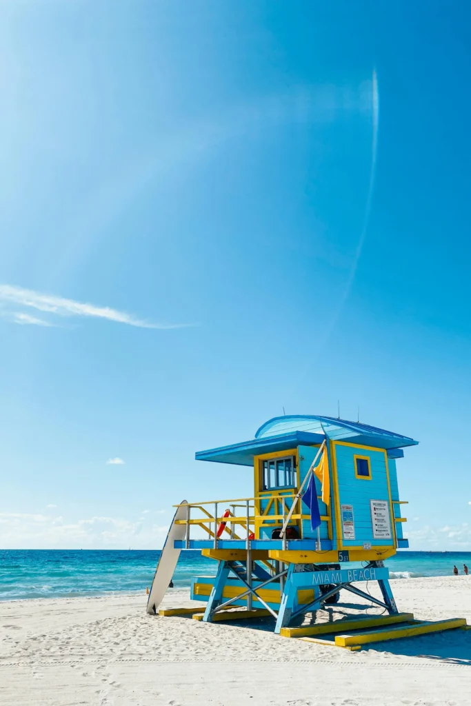 Miami Vibes