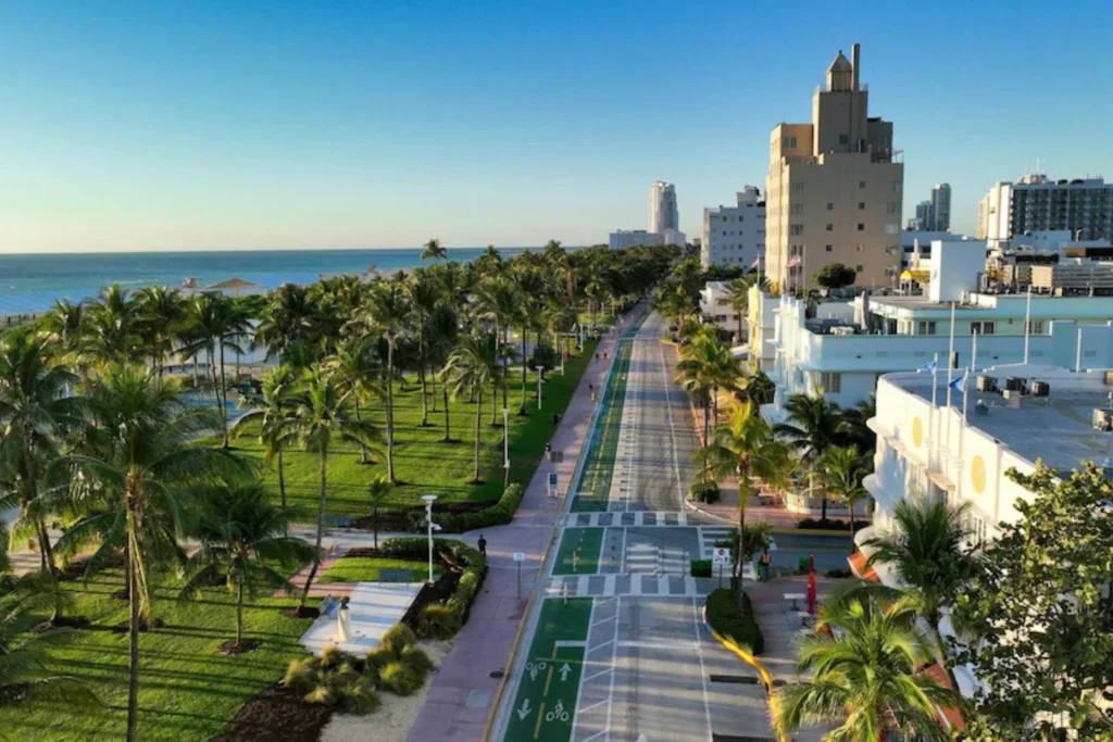 Miami Vibes
