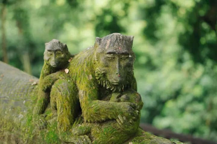 Best of Ubud (200 PLN/os)