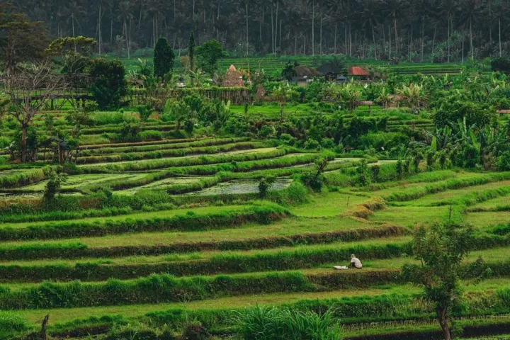 Insta Bali