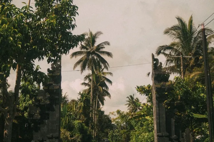 Insta Bali