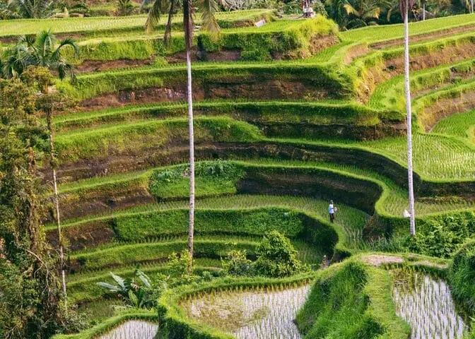 Insta Bali