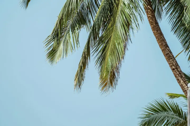 Sri Lanka i Malediwy: Dwie wyspy, jeden ocean