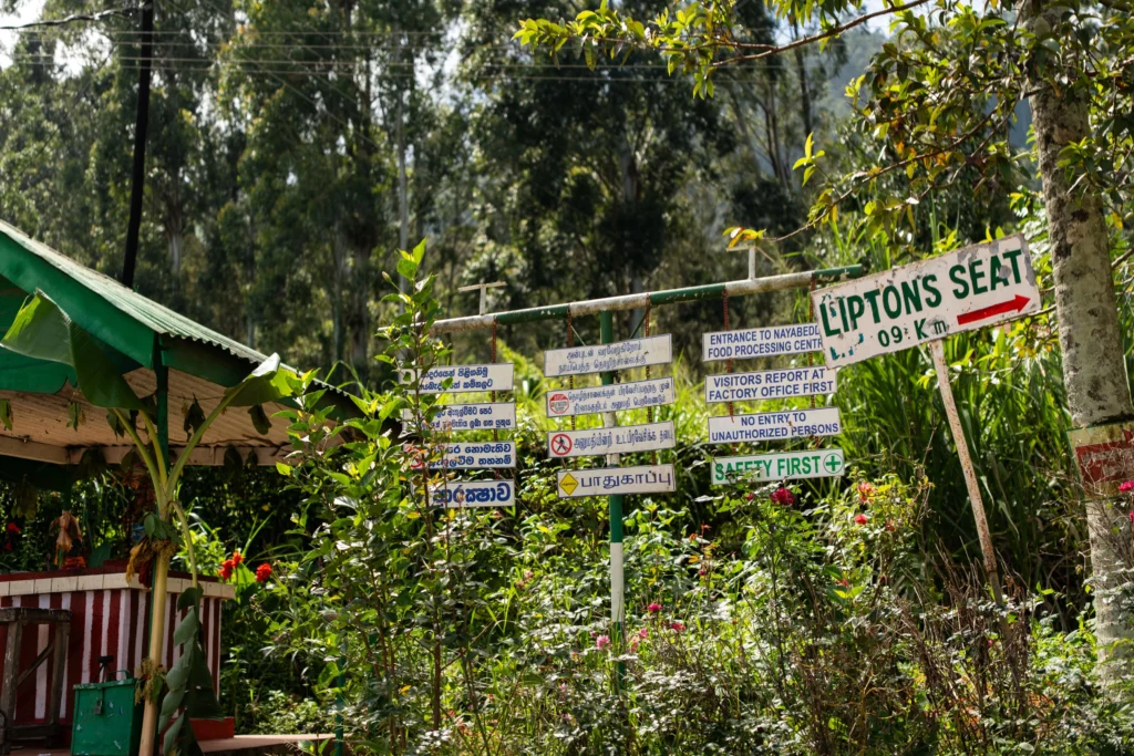 Sri Lanka: Herbaciany szlak
