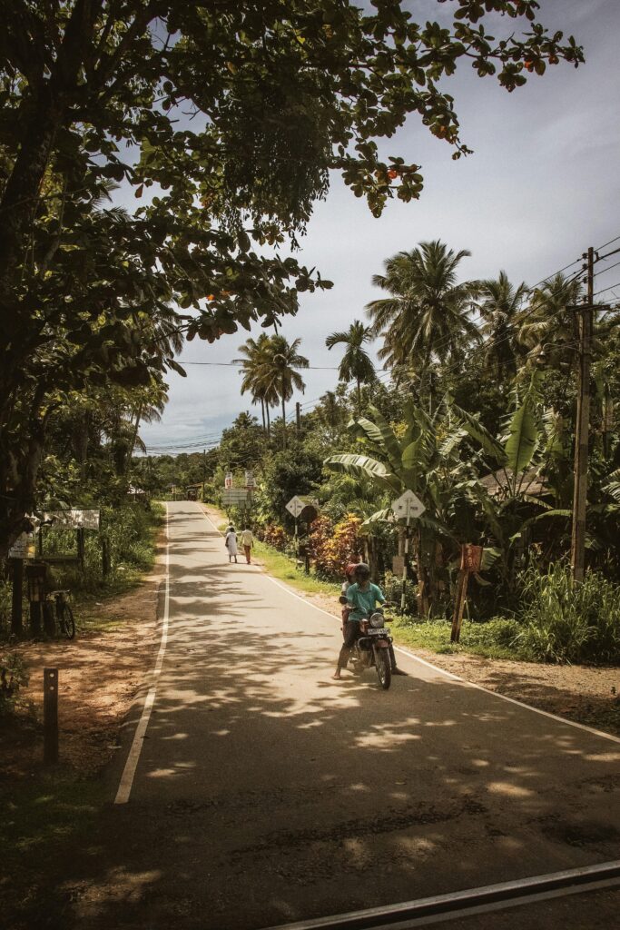 Sri Lanka: Słonie i leżaki
