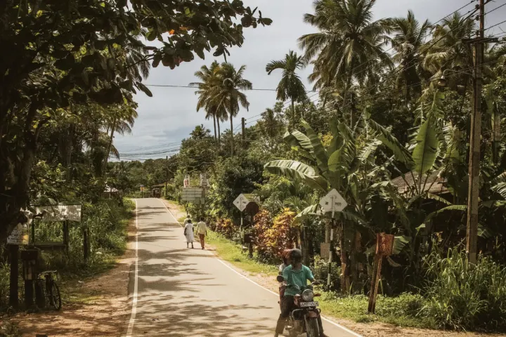 Sri Lanka: Słonie i leżaki