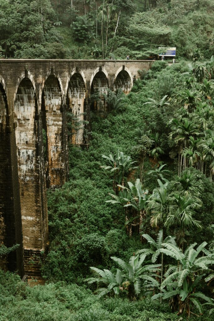 Sri Lanka: Słonie i leżaki