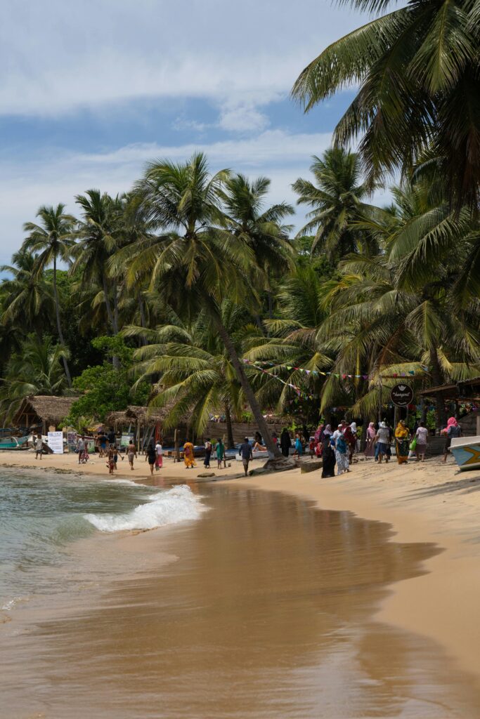 Sri Lanka: Słonie i leżaki