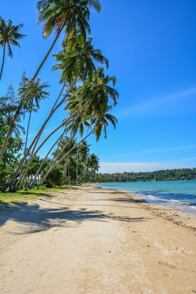Tajlandia: Dżungla i plaża